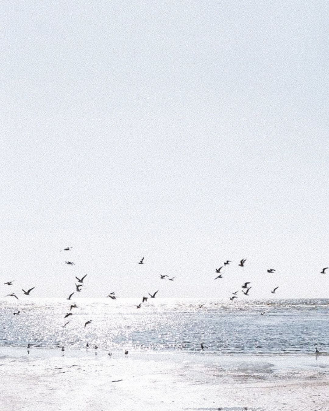 mentoria integrativa método definitivo para mudar de vida em 2026