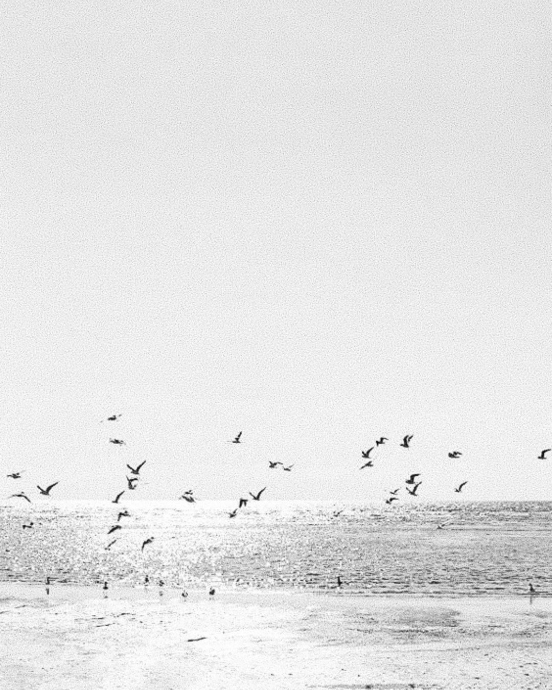 recomeçar a vida método da graciele