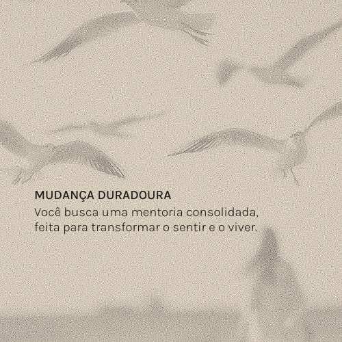 VIVERME recomeço de vida após a separação 2026 5